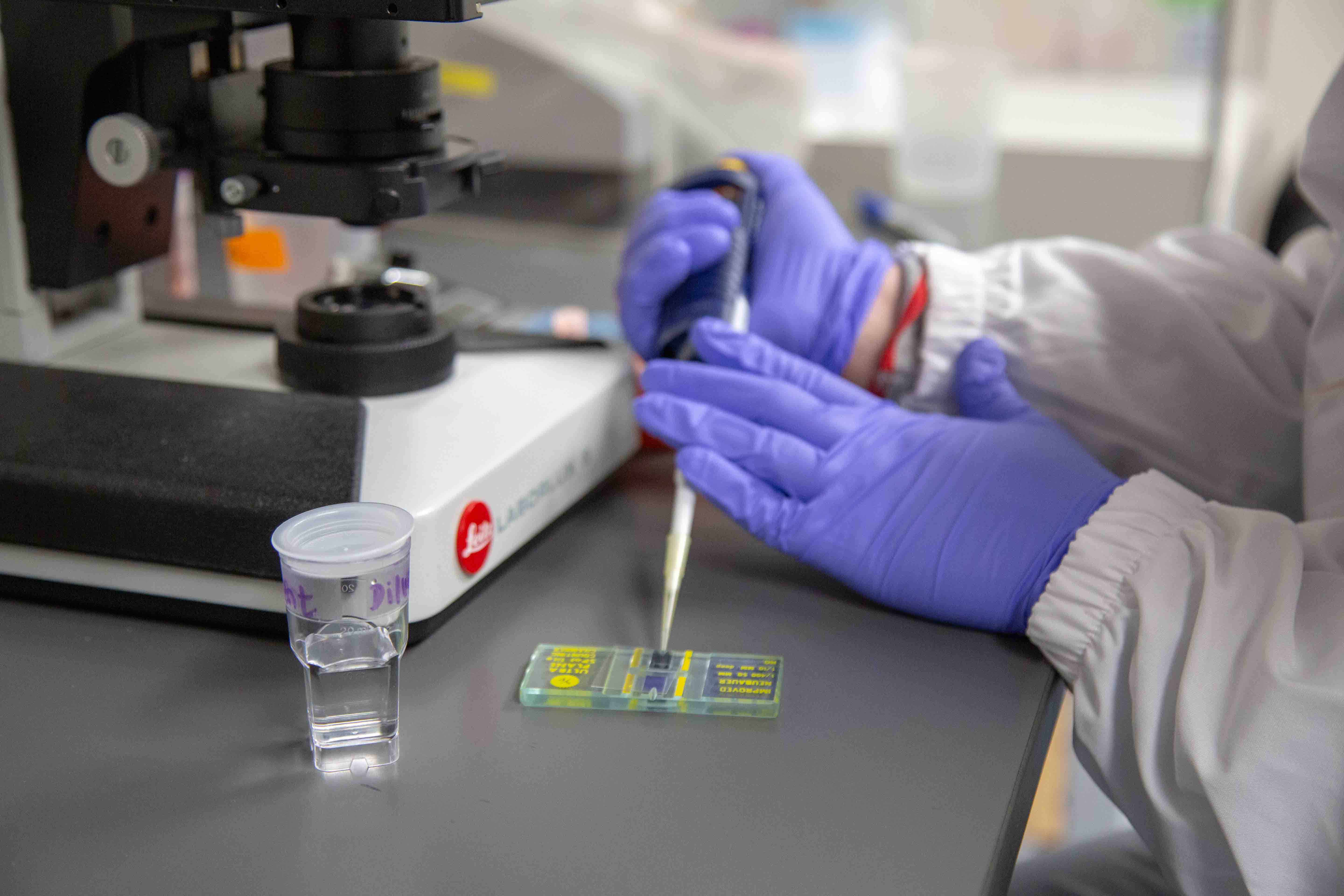 Answering the call how an aquatic toxicology lab was created to fill